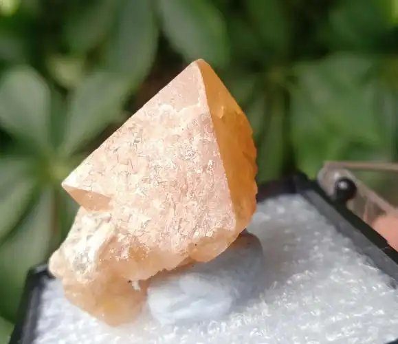 欢迎大家围观,捡漏.