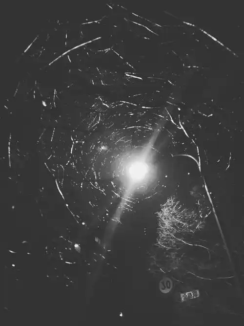 一直在黑暗里突然有一束光照进来那么这束光便有罪