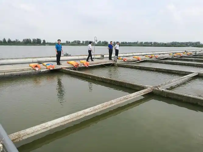 光伏电站中的池塘工业化生态养殖
