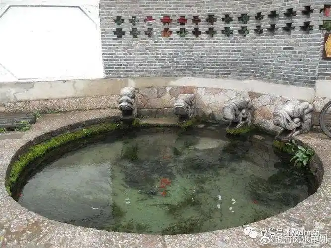 李银河庭院水池这样设计一年内财旺运旺