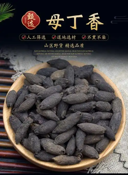 母丁香中药材500克母丁香香料鸡舌香亭炅独生雌丁香母丁香