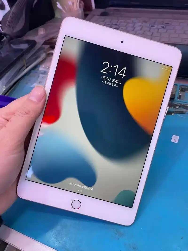 苹果ipad mini5  64g  国行wifi版   电 - 抖音