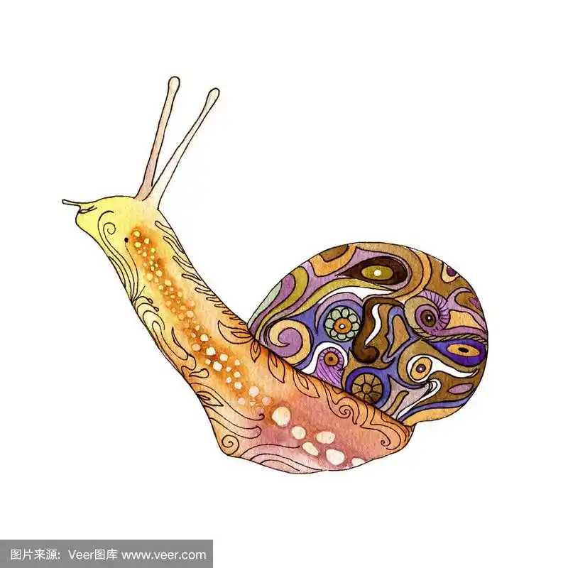水彩手绘抽象蜗牛孤立的白色背景
