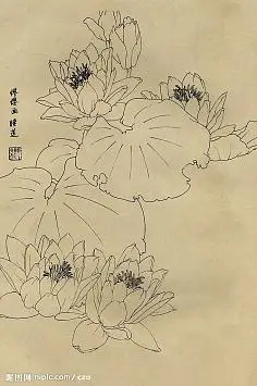 工笔画线描百花画谱