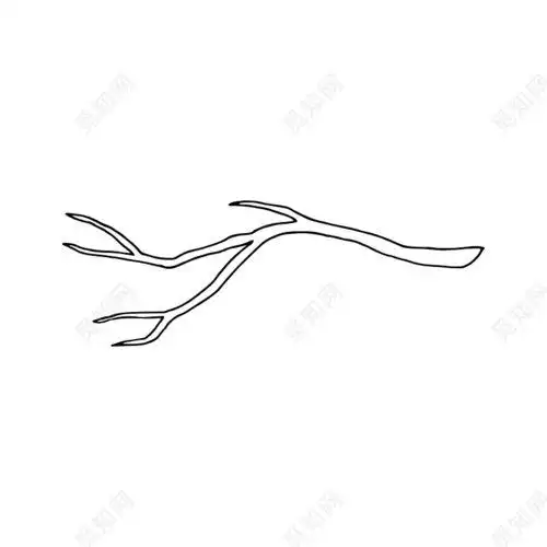 树枝简笔画树枝简笔画树干