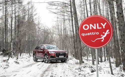 当quattro遇见冰雪,壁虎也能在冰面漫步_奥迪