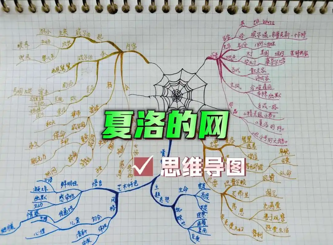 小学生必读书目《夏洛的网》思维导图#思 - 抖音