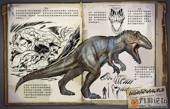 体型小于棘龙,霸王龙,蛮龙,马普龙,鲨齿龙,魁纣龙,是体型第七大的食肉