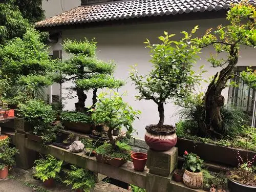 灵隐白乐桥 — 我们儿时的记忆所在