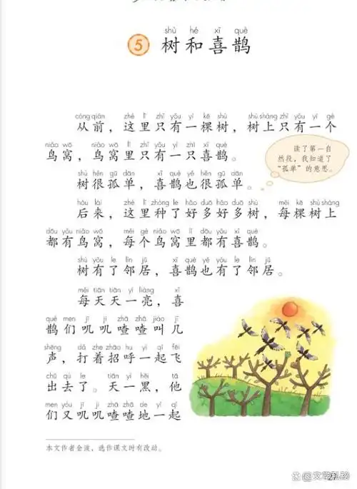 一年级课文树和喜鹊是如何从边角料的存在进入课文重点区域