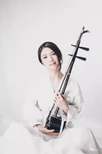 二胡2:刘宇 (中国音乐学院二胡表演艺术博士 在读)