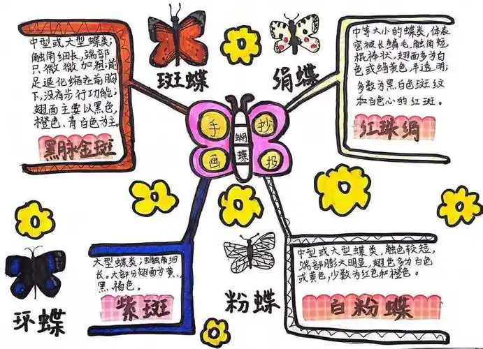 照亮文学艺术的星空,品读名著,绘制手抄报,思维导图,取经路线图,体验