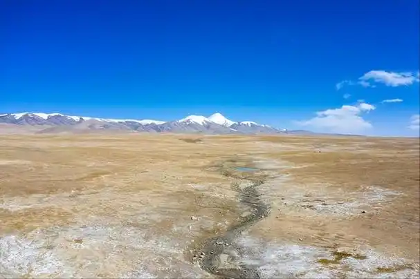 可可西里无人区,位于中国青藏高原的西南部,是世界上海拔最高的一片