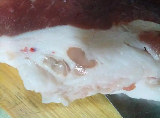 请问各位朋友,这块猪肉是不是长豆了?(名词好像叫囊虫吧?