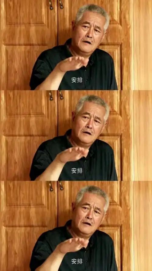 安排了 #刘老根-影视综视频-搜狐视频