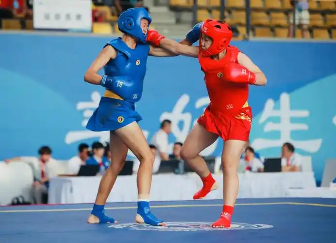 省十七运青少年组武术散打比赛收官