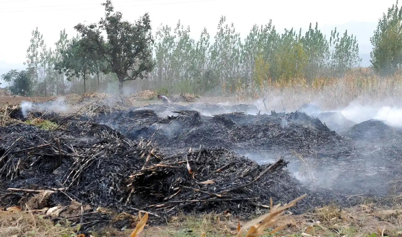 在农村,秸秆焚烧,是谁的错?