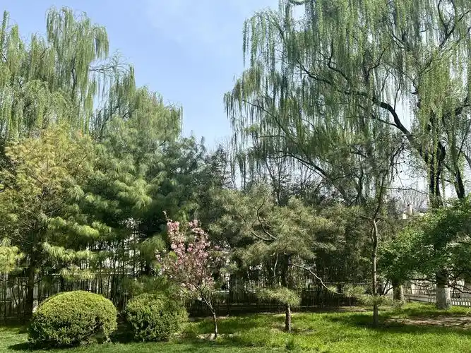 丰台百姓家门口的公园万芳亭公园