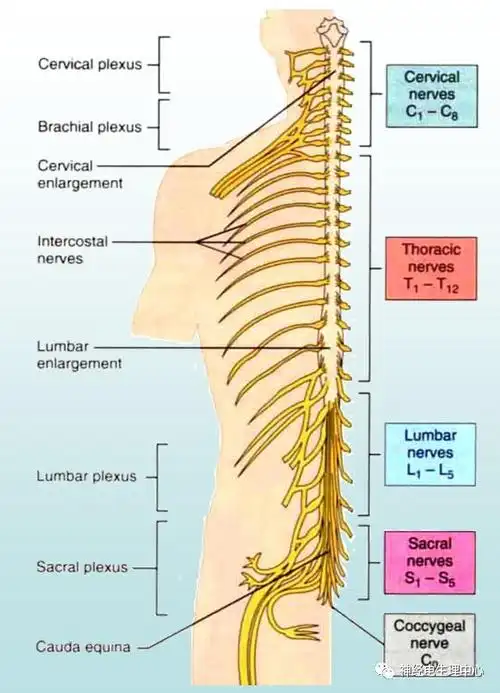 581_805竖版 竖屏