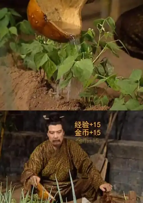 看剧开弹幕真的是三倍快乐,刘备种菜加经验是什么鬼?