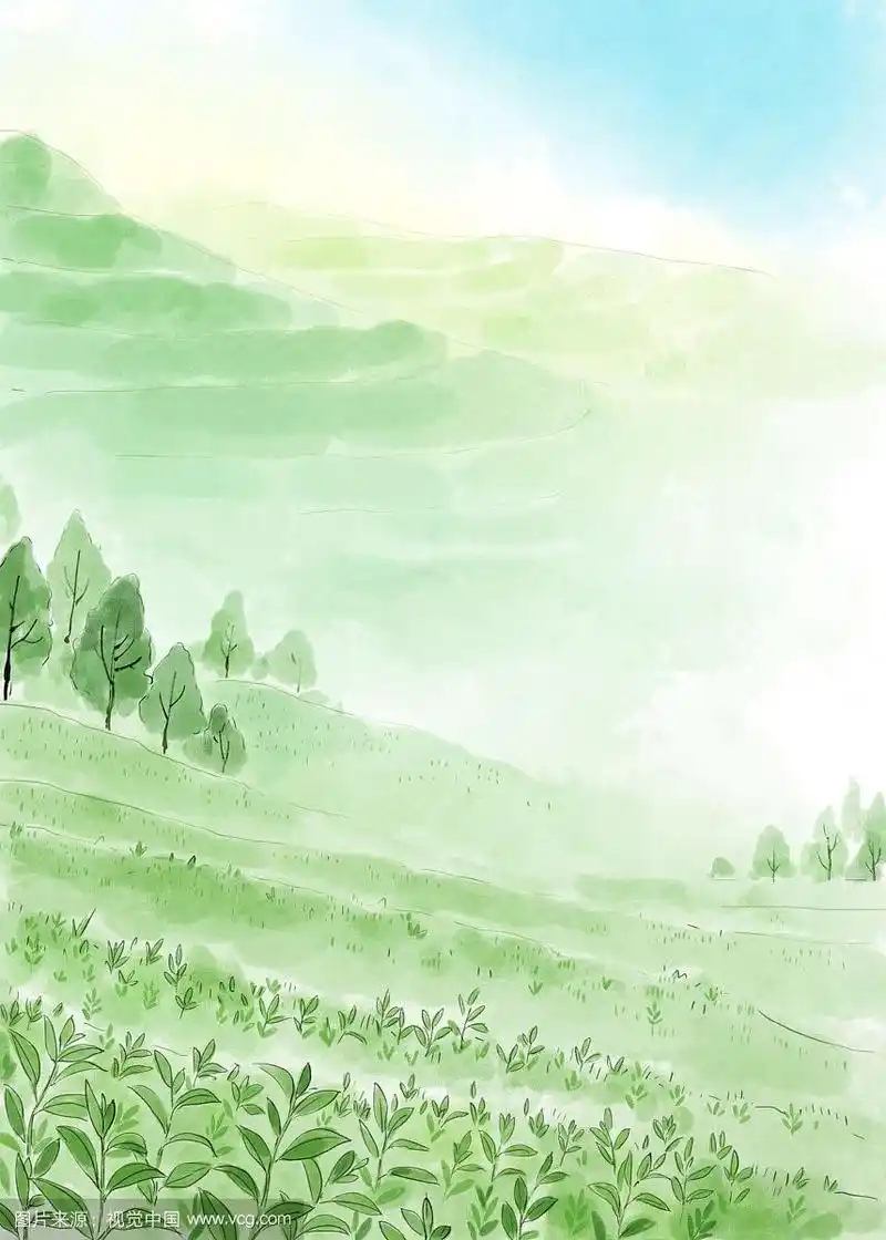 茶园水彩画