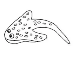 简笔画---怎么画魔鬼鱼