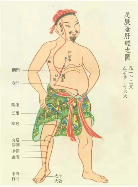 清除大腿内侧赘肉 刮肝经肝胆失调造成的肥胖,通常体现在大腿内侧和