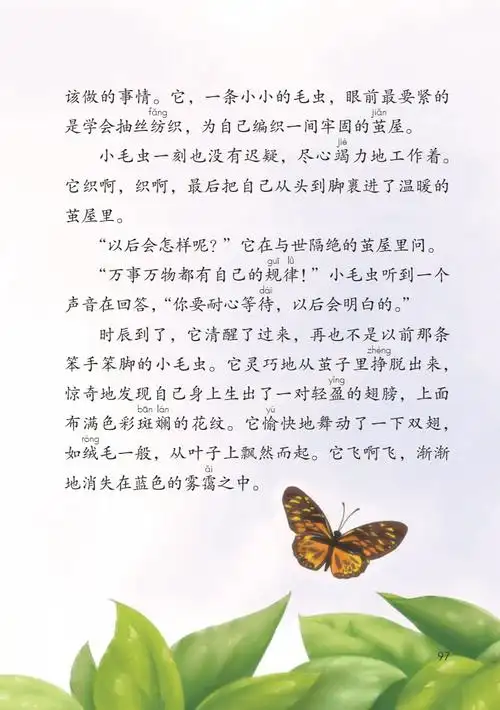 小毛虫