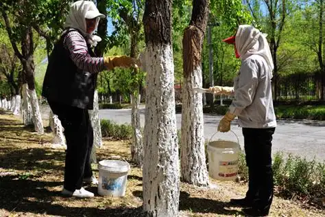 p>爱护树木就是要求我们保护 a target="_blank" href="/item/树木