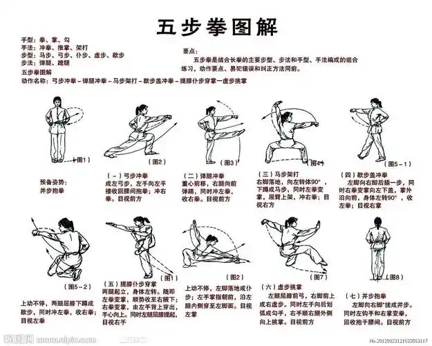 五步拳 教学