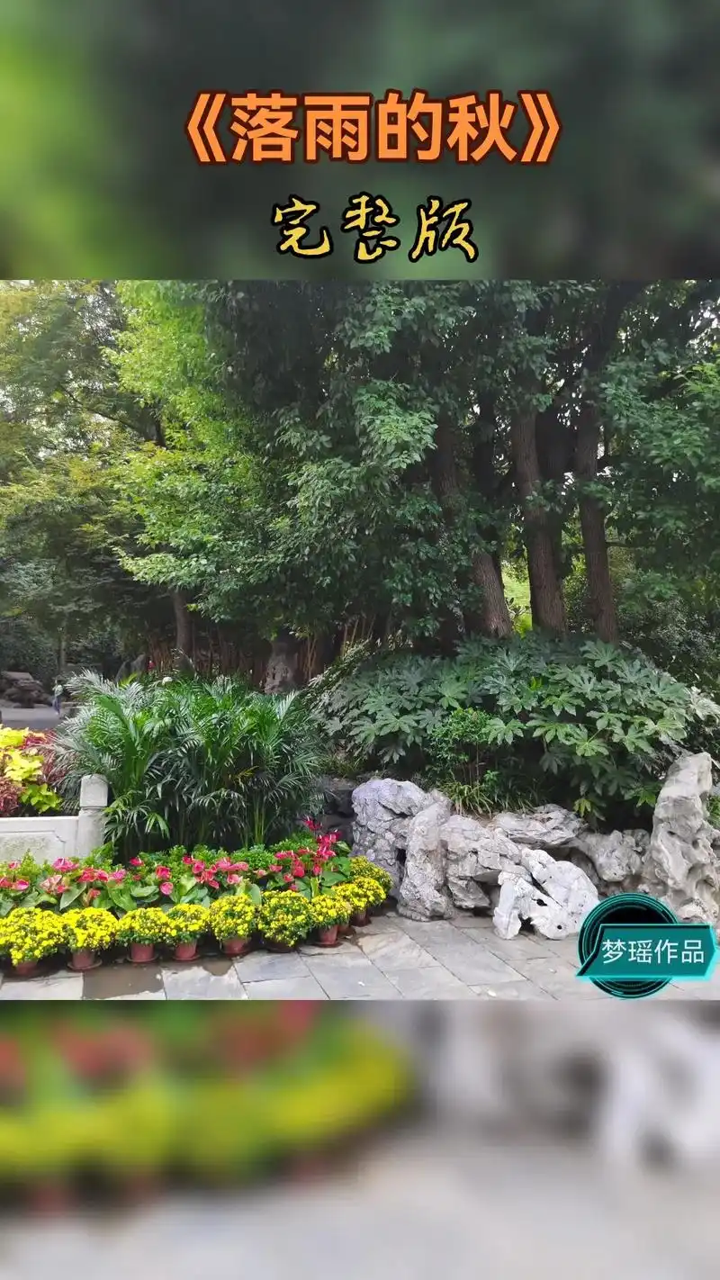 《落雨的秋》完整版,又是落叶飘零的秋,我站在拥挤的街头,静静 - 抖音