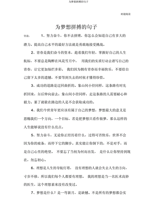 为梦想拼搏句子docx14页