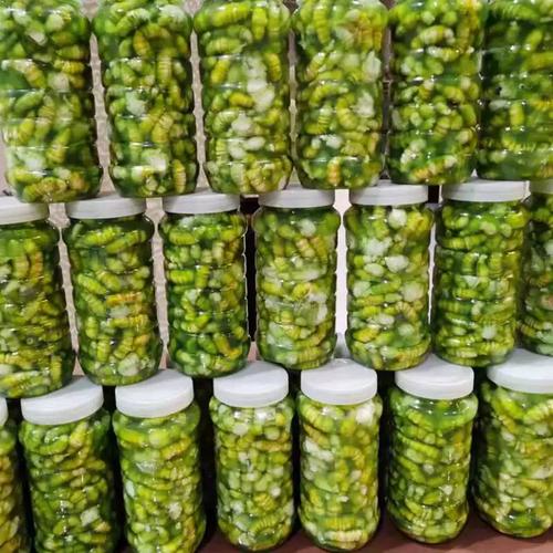 豆丹豆虫500g一瓶食用特产鲜速冻高蛋白大青虫猪儿虫芝麻虫豆天蛾