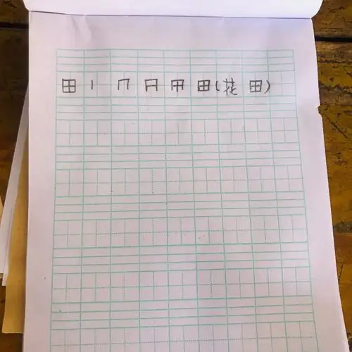 今天的家庭作业是在田字格里正确书写汉字"田"组词(花田)