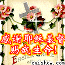 我是基督徒:应遵守十条戒命