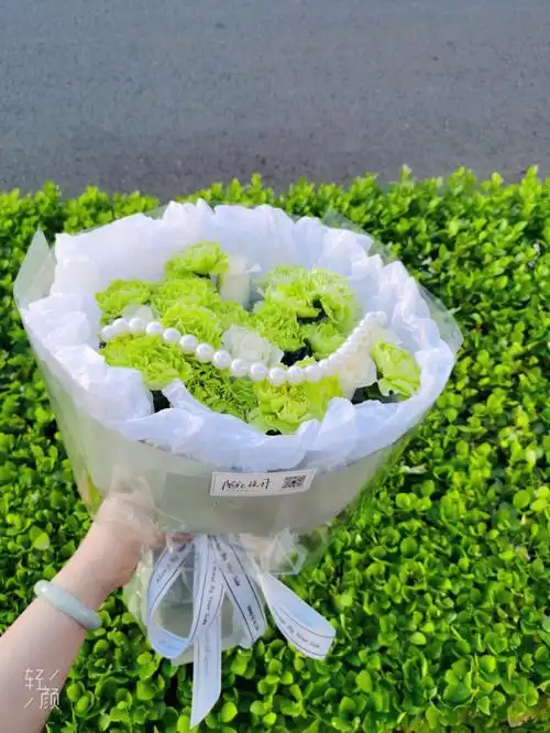母亲节花束绿色康乃馨混搭