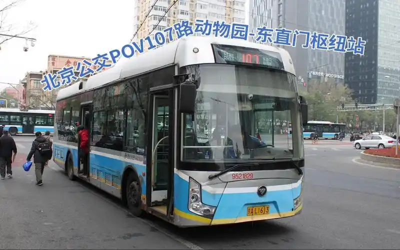 北京公交pov系列北京公交pov107路动物园东直门枢纽站