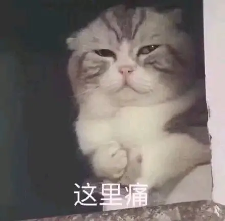 这里痛(猫咪捂胸口心痛)_猫咪_心痛_胸口_这里表情