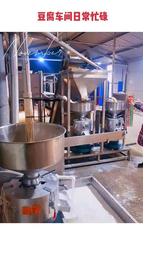 全自动三联磨浆系统豆腐车间忙碌中