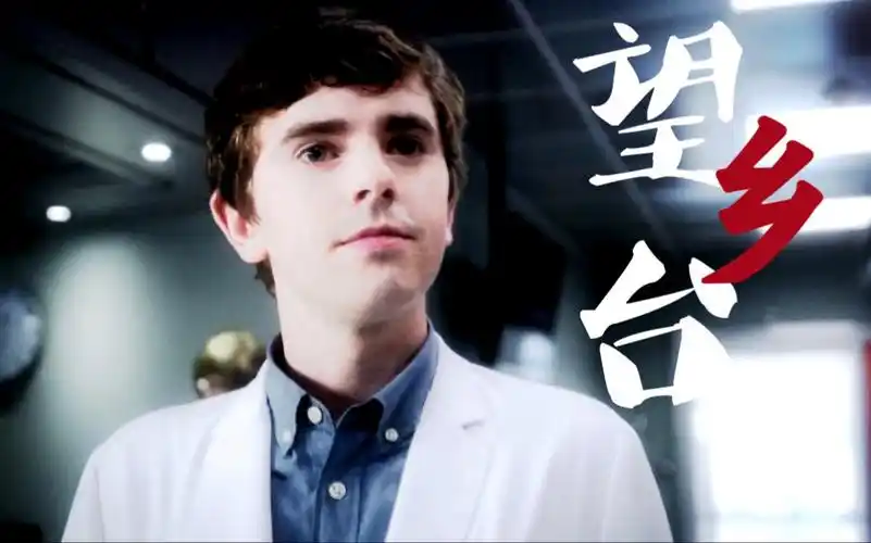 弗莱迪海默肖恩墨菲望乡台外科医生和他又一次失去的弟弟