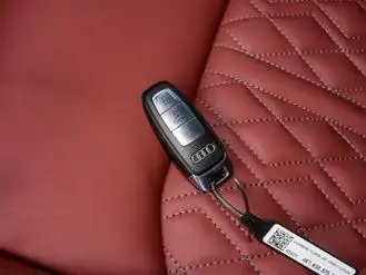 【2024款 45 tfsi quattro s-line 黑武士版 报价】奥迪a7l图片_配置