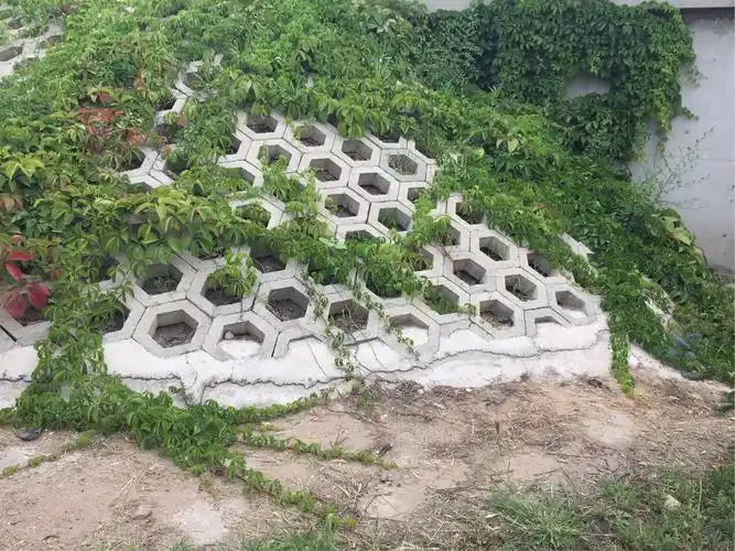 护坡上的狂想曲