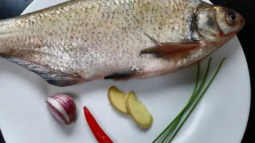 油适量大蒜1瓣辣椒1个生姜两片葱适量鳊鱼一条app中收藏菜谱19关注