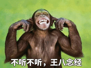 不听不听,王八念经_王八_念经表情