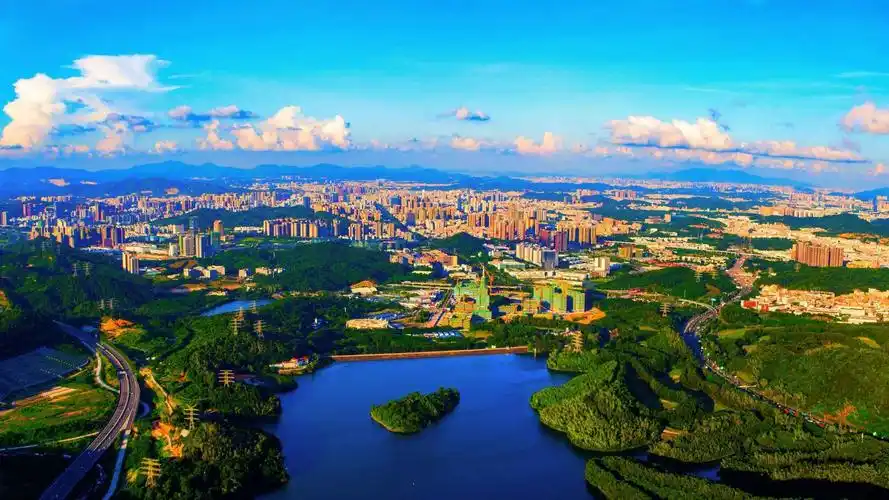 先行示范区卯足干劲狠抓落实龙岗区各街道第一时间进入状态