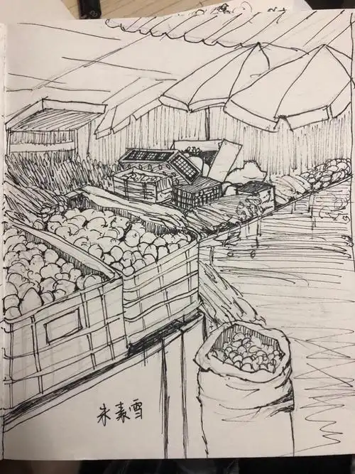 《小学期建筑速写》