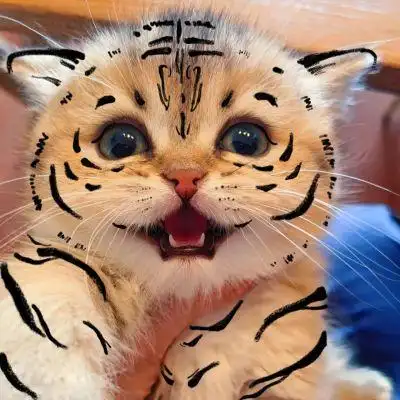 可爱的小脑虎_微信头像_我要个性网