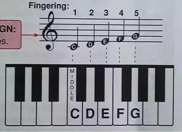 钢琴1234567指法图