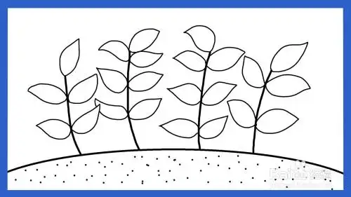 怎么画薄荷简笔画(儿童简笔画)