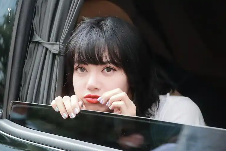 lisa cr.logo - 堆糖,美图壁纸兴趣社区